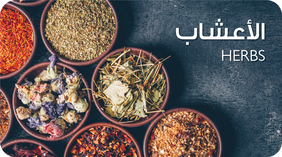 الصفصاف