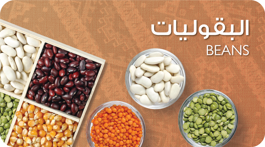 الصفصاف